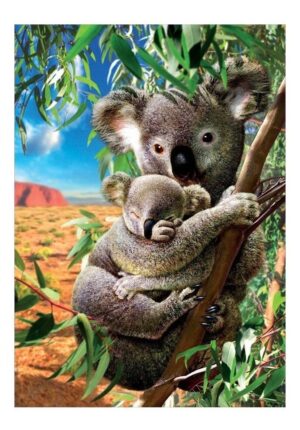 PUZZLE EDUCA X 500 PIEZAS KOALA Y SU CACHORRO COD 18999 - Imagen 2
