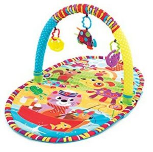 PLAYGRO GIMNASIO PLAY IN THE PARK ACTIVITY GYM COD 184213 - Imagen 2