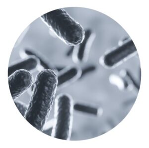 JUEGO DE CIENCIA MICROSCOPIO COPERNICO COD IK0191 - Imagen 6