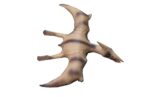 DINOSAURIO INFLABLE DE GOMA MEDIANO VR5 DINO2 PTERANODON